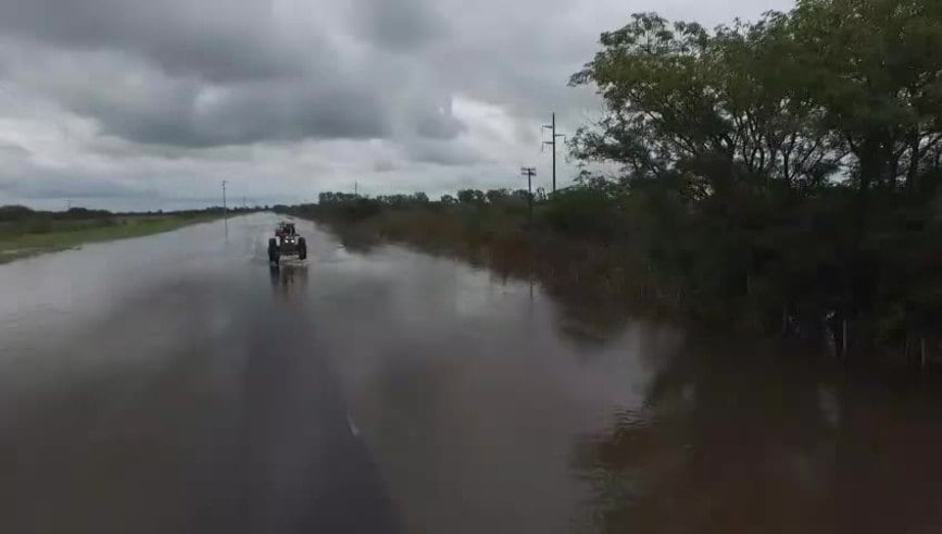 Las vacas y la inundación, desde el dron