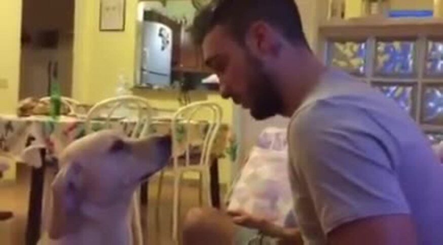 La reacción más tierna de un perro
