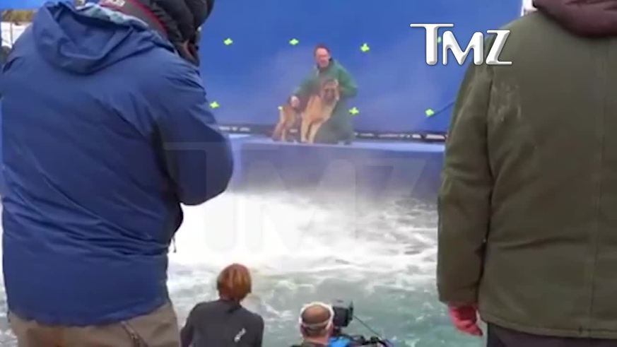 Indignación por el cruel trato a un animal en una película