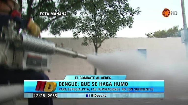 Combate al dengue