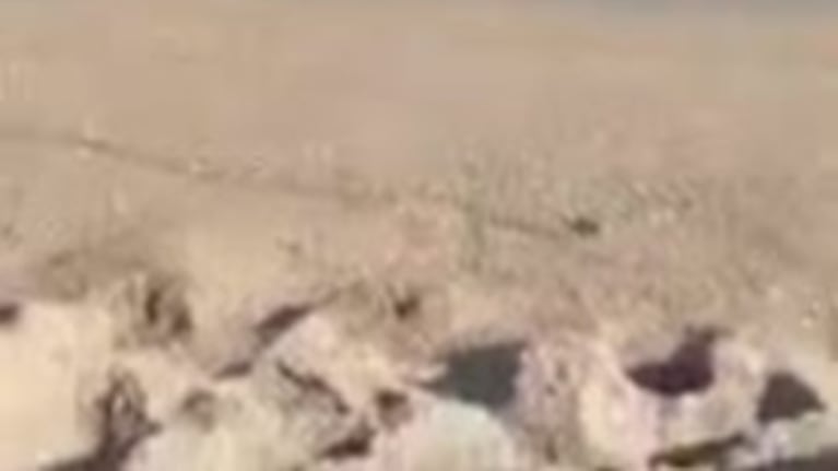 Dos mujeres fueron ayudadas para salir del mar