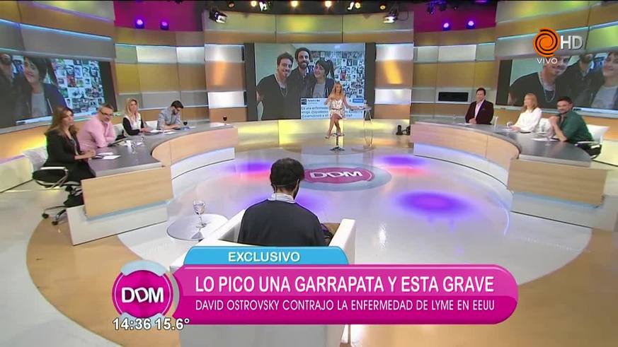Ayudemos a David