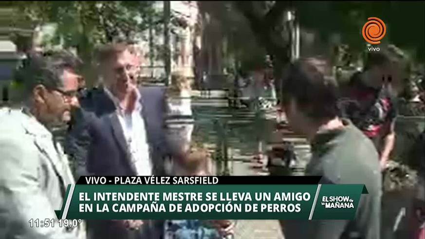 Campaña de adopción de perros