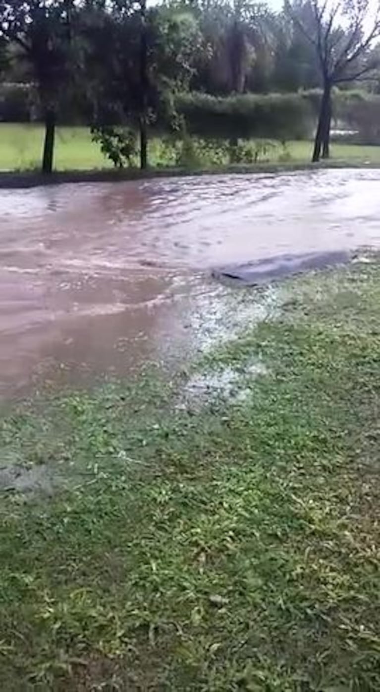 El asfalto que duró menos de un día