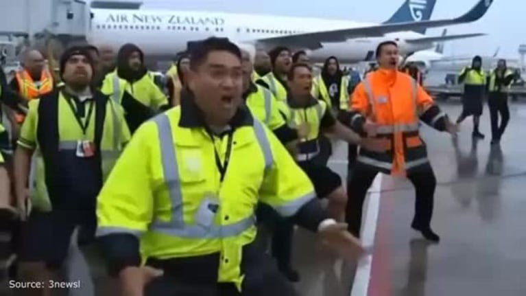 Los All Blacks recibidos con un "haka" en el aeropuerto