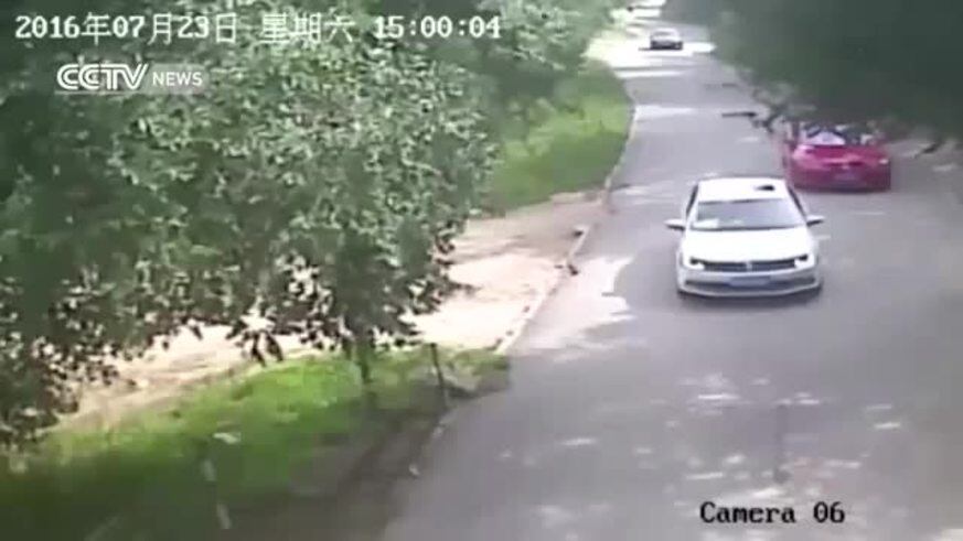 Tigre ataca a una mujer en un zoo de China