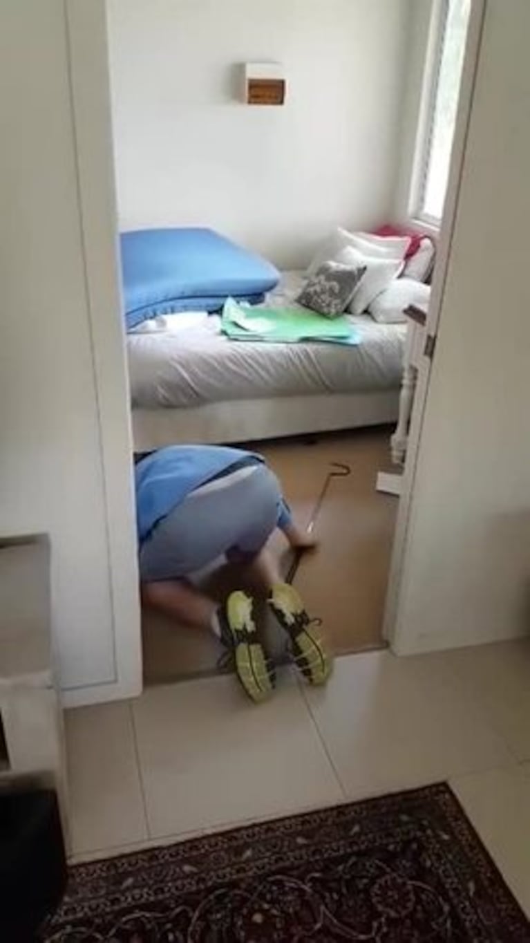 Encontraron un lagarto debajo de una cama