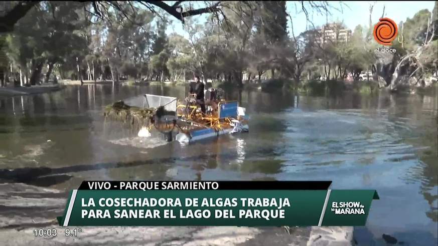 Investigan incendio en Parque Sarmiento