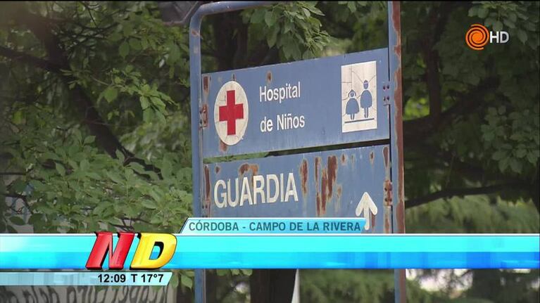 Un niño fue atacado por una jauría