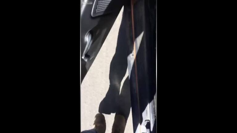 Video Placeholder