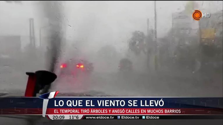 Lluvia, viento, granizo y una imagen conmovedora: lo que dejó la tormenta