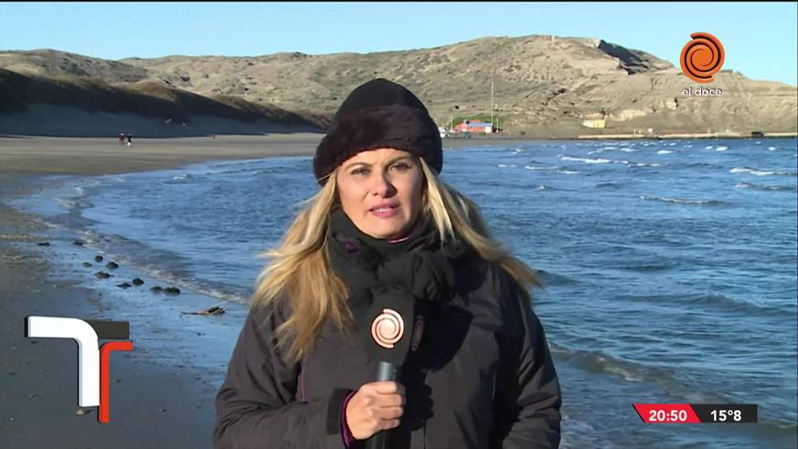 El espectáculo natural de las ballenas en Península Valdés