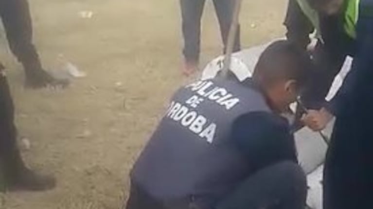 Tres perros amanecieron atrapados en tubos