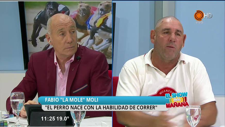 "La Mole" explica como cuidan a sus perros