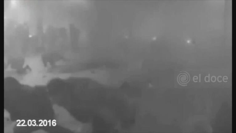 Video Placeholder
