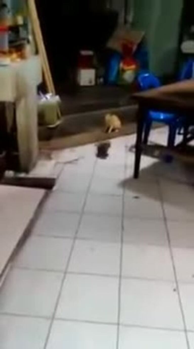 Video Placeholder
