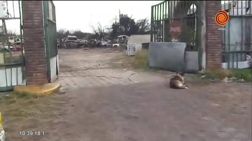 Terrible incendio en corralón municipal