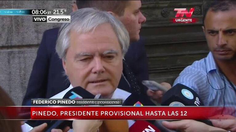 Federico Pinedo, Presidente provisional