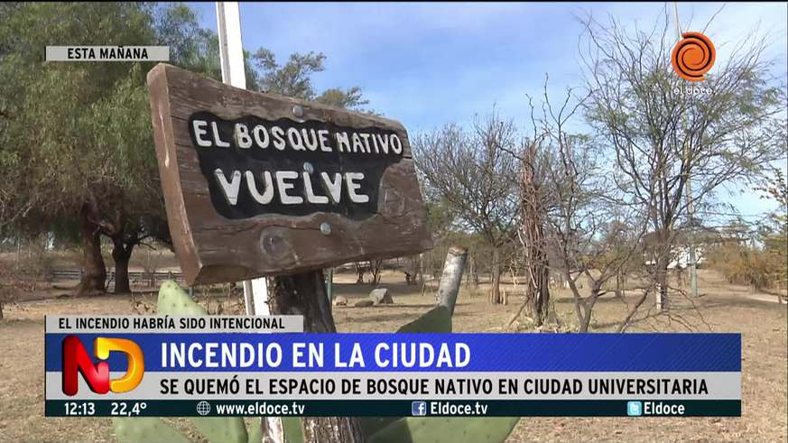 Se quemó el bosque nativo de Ciudad Universitaria