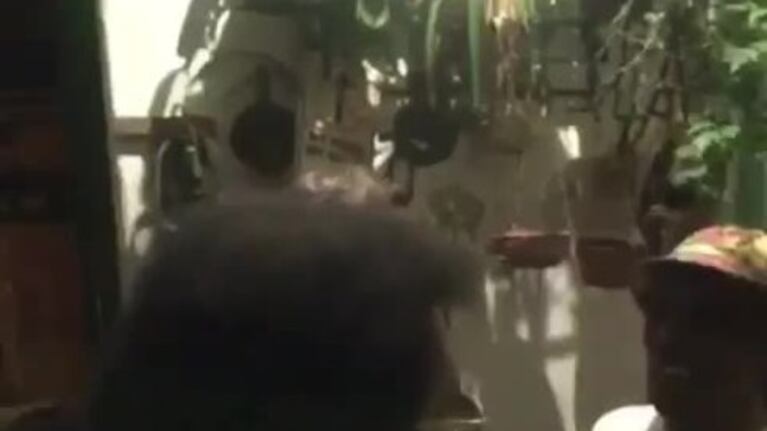 Mick Jagger bailó candombe con el Negro Rada