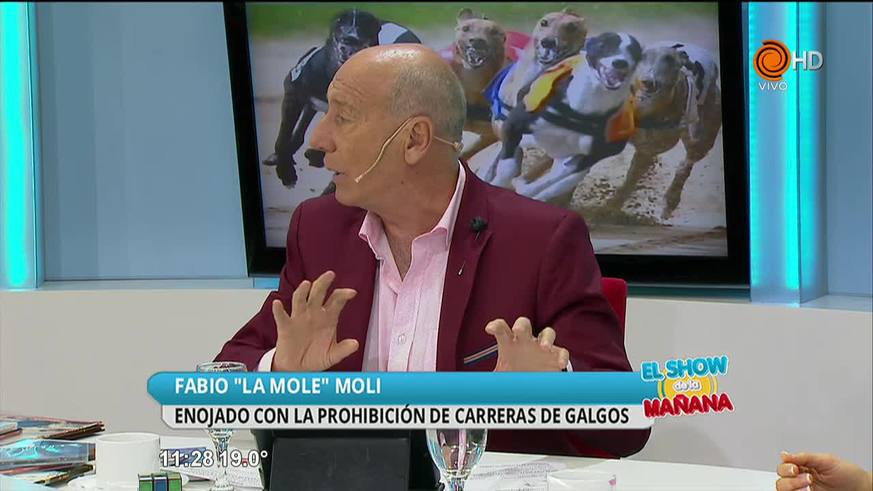 ¿Por qué caballos si y galgos no?