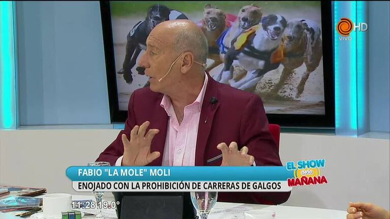 ¿Por qué caballos si y galgos no?