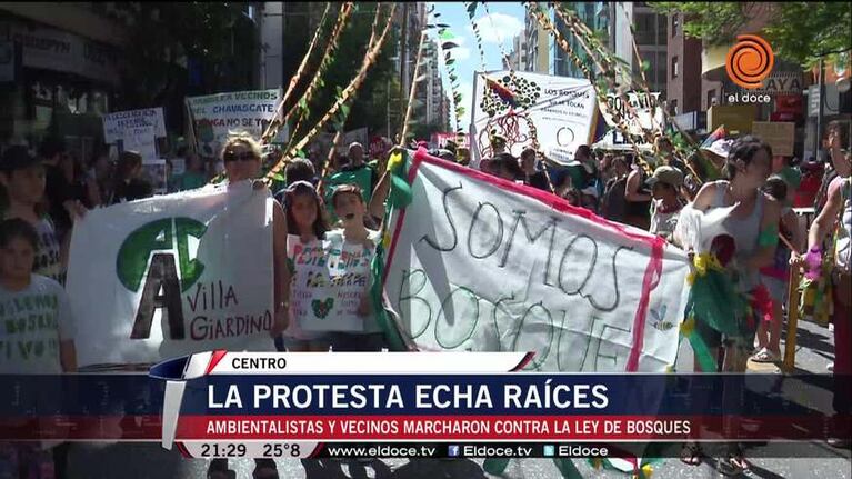 Doña Jovita encabezó la marcha contra la nueva Ley de Bosques