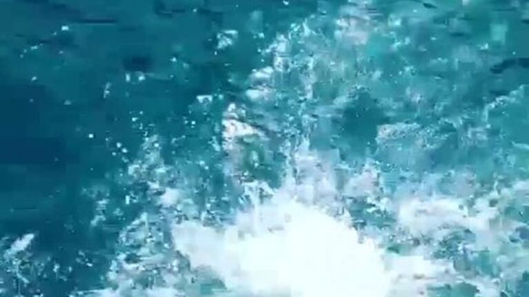 El último video de las turistas mendocinas