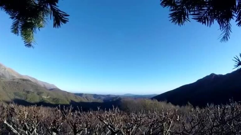 El terremoto en Italia filmado por cazadores