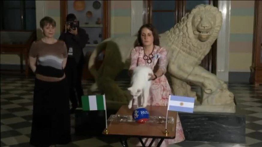 El gato Aquiles le dio ganador a Nigeria