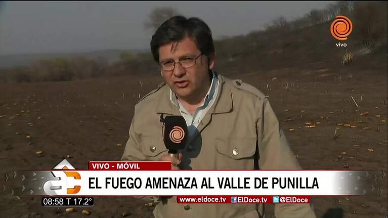 El fuego arrasó los campos