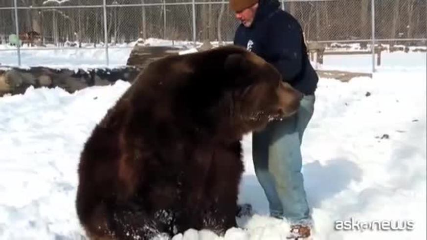 El abrazo de un gigantesco oso a su cuidador