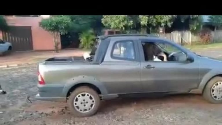 Mataron al perro de la vecina con la camioneta