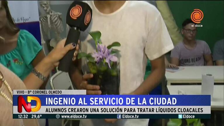 Proyecto de los alumnos del Ipem 124: Plantas acuáticas que limpian la contaminación