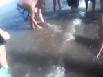 Así sacaron del mar al delfín que murió