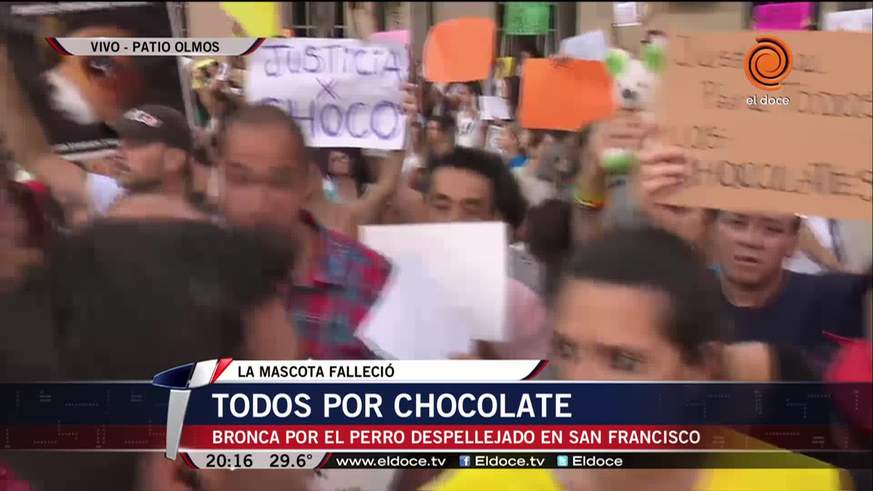 La marcha por Chocolate