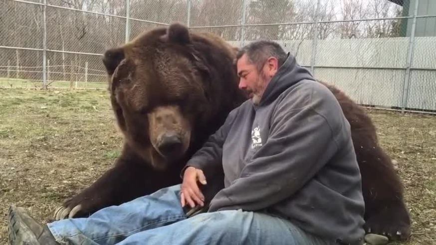 Un oso "demasiado" afectuoso con su cuidador