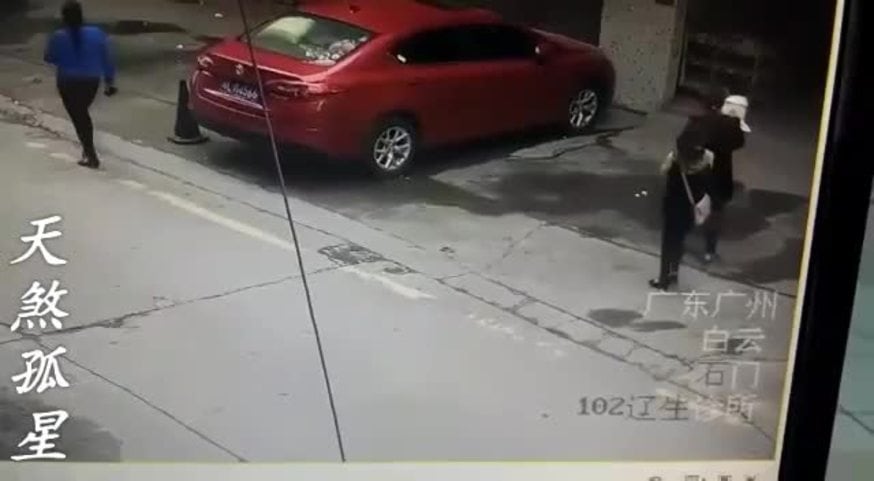 Un perro cayó desde un departamento