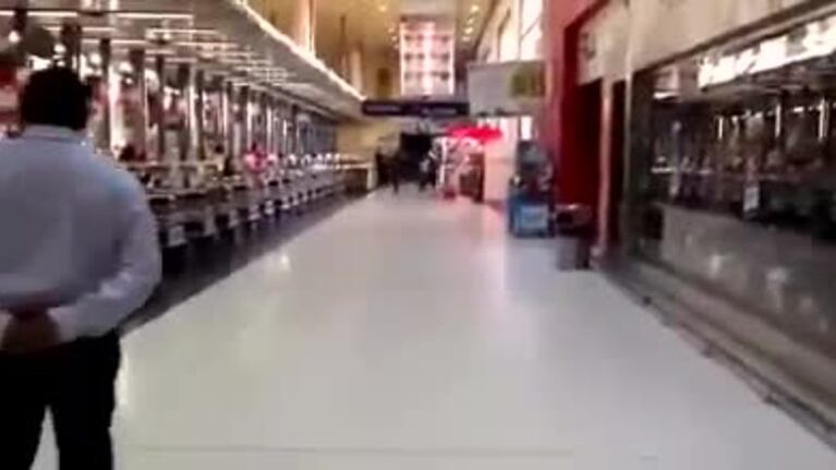 Locura por un peluche