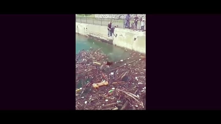 Dos hombres murieron ahogados en el río Niagara