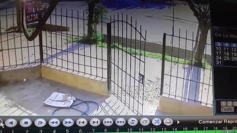 Brutal ataque a un perro