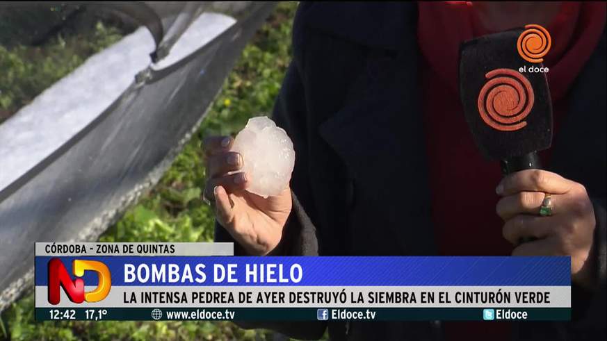 La intensa pedrea destruyó la siembra del cinturón verde