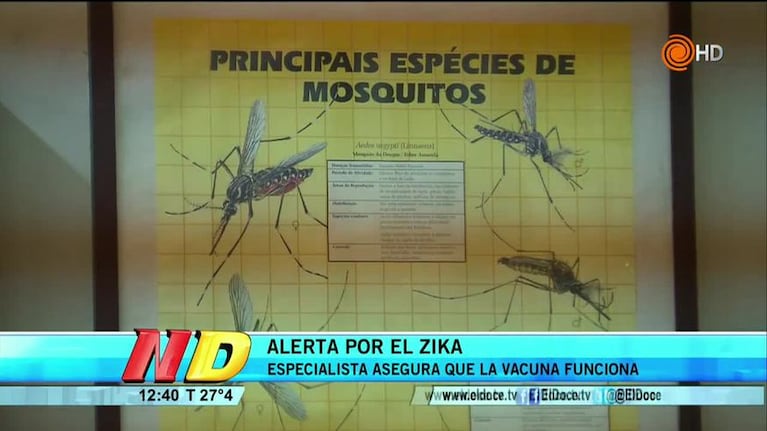 Alerta por el zika