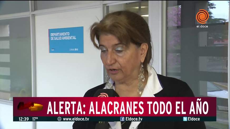 Alacranes, todo el año