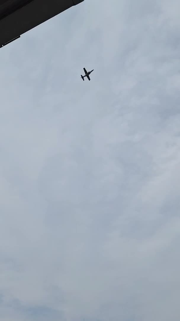 vuelo-pampa