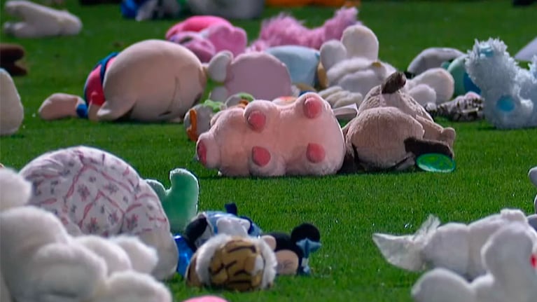 Lluvia de peluches en Belgrano: la noble iniciativa “pirata” por el Día de las Infancias