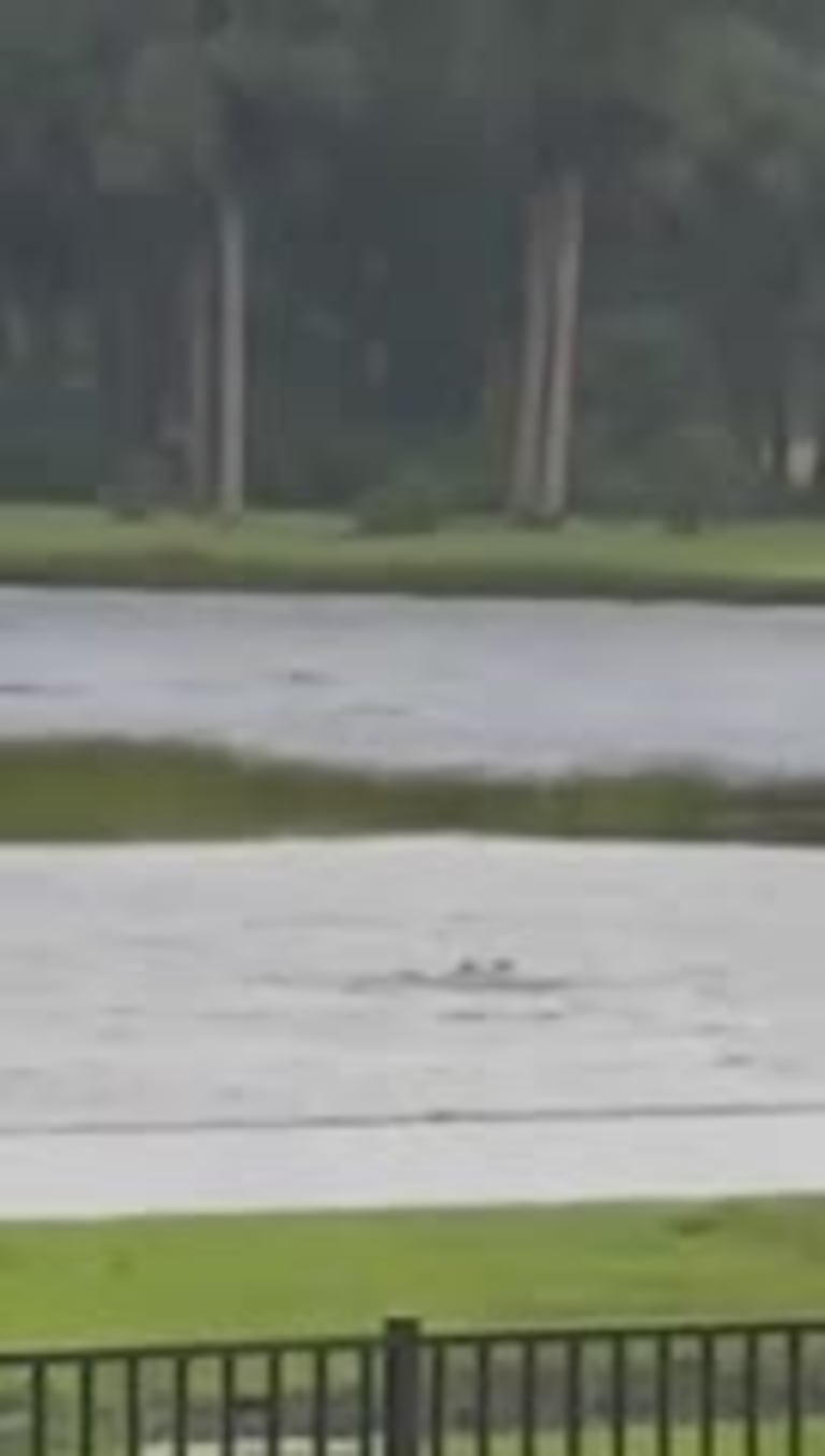 Huracán Ian: un tiburón nadando en Florida