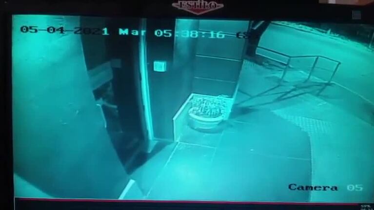 Un puma rompió la puerta del municipio de Río Primero