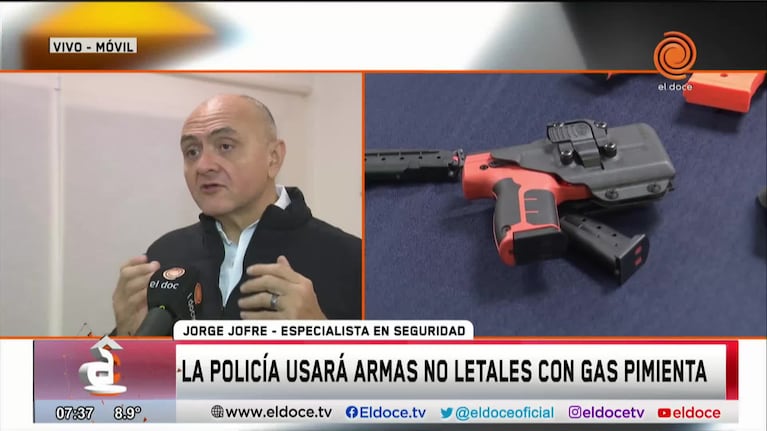 El análisis de un especialista sobre la incorporación de armas no letales