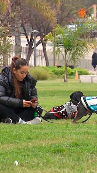 ¿Dónde está la primavera? La confusión de los cordobeses